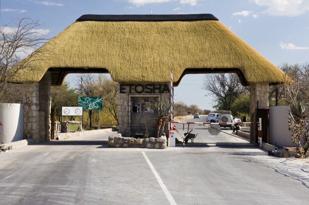 etosha etosha
